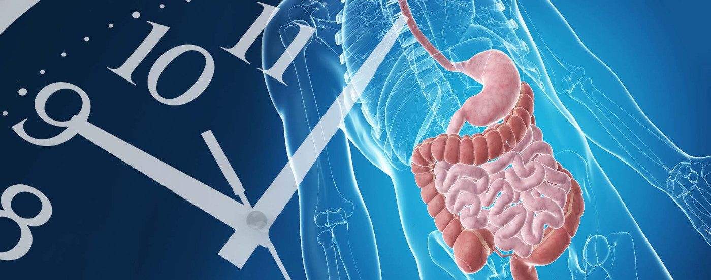 Home | Digestive Health & Diseases