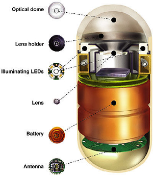 capsule-endoscopy